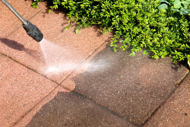 Deck Cleaning Services in Greensboro, GA